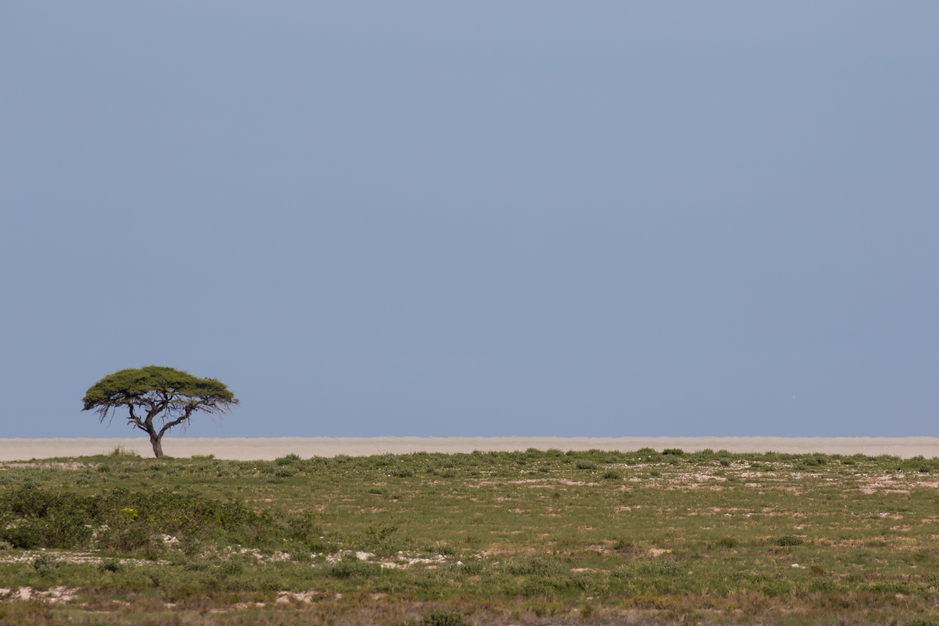 Namibia